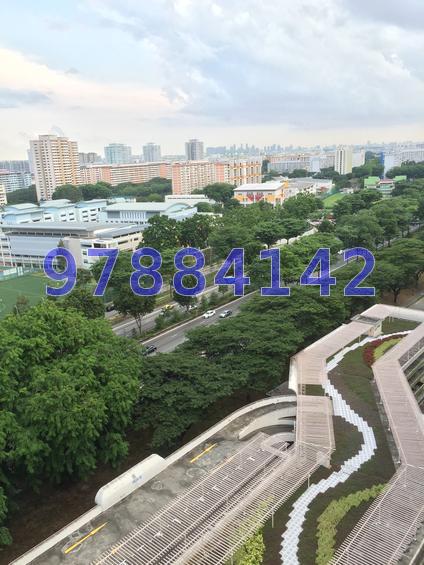Blk 767 Bedok Reservoir View (Bedok), HDB 5 Rooms #71876911